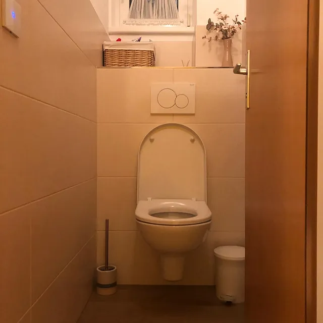 WC Neu Nachher
